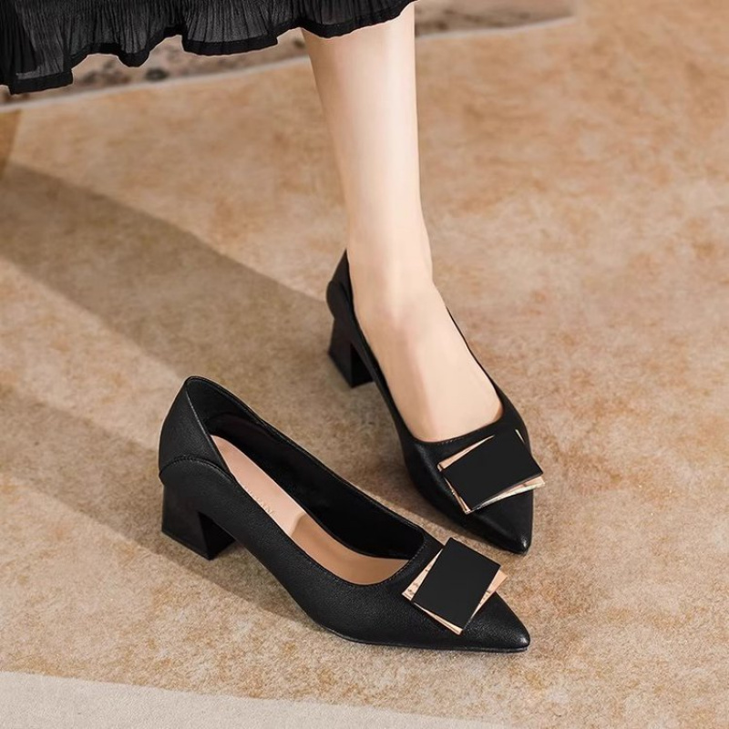 Leatherwork In French - 2026 Nieuwe pumps met dikke hak